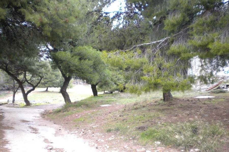 (For Rent) Land Plot || Athens North/Melissia - 2.000 Sq.m, 1.800€ 