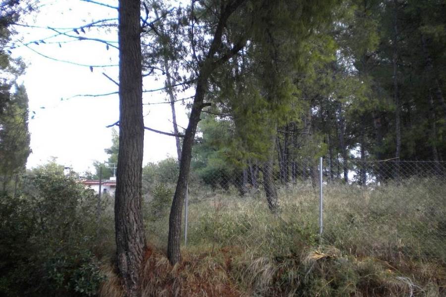 (For Sale) Land Plot || Athens North/Ekali - 2.030 Sq.m, 1.350.000€ 