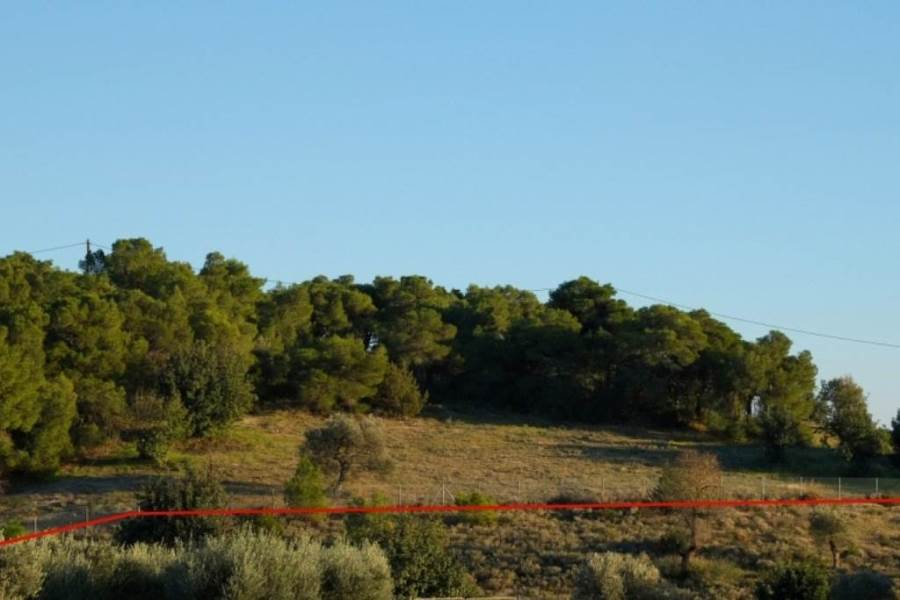 (For Sale) Land Plot || Argolida/Kranidi - 7.600 Sq.m, 1.000.000€ 