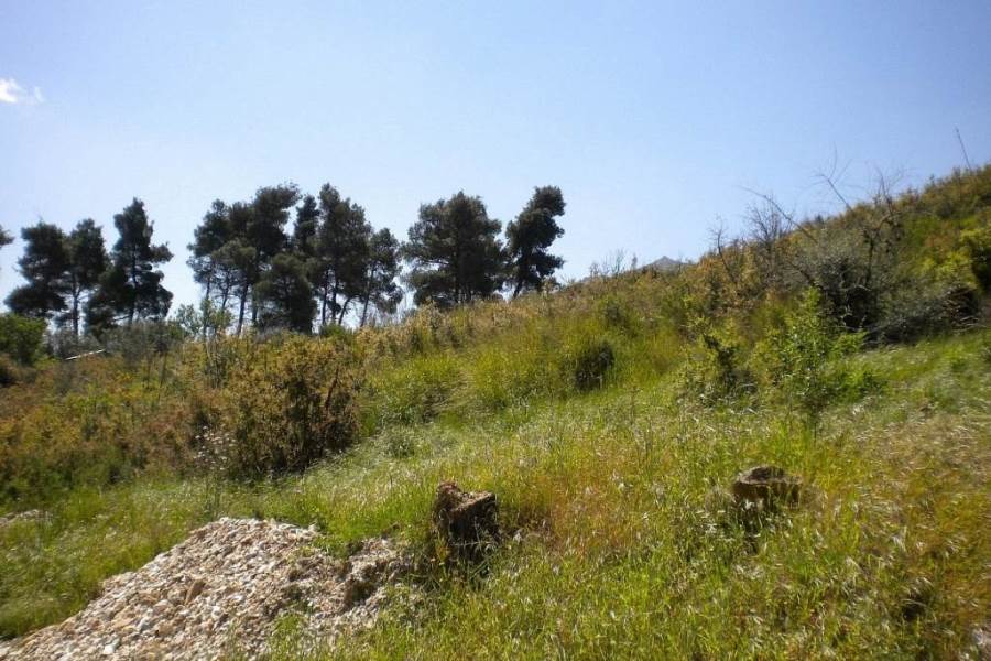 (For Sale) Land Plot || East Attica/Dionysos - 6.120 Sq.m, 260.000€ 