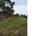 slide1 thumbnail