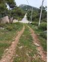 slide1 thumbnail